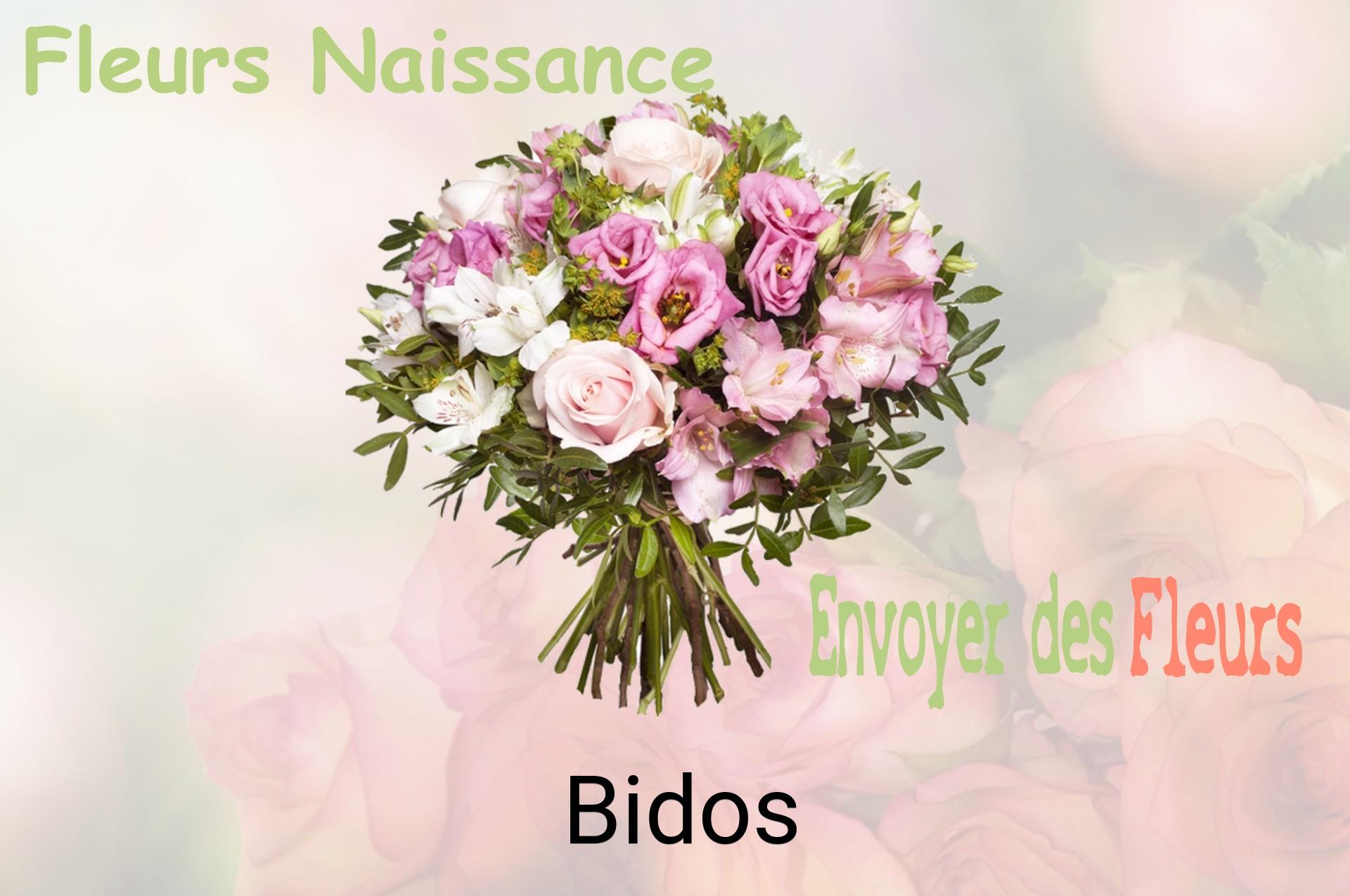 Bouquet de fleurs de naissance livré à Bidos